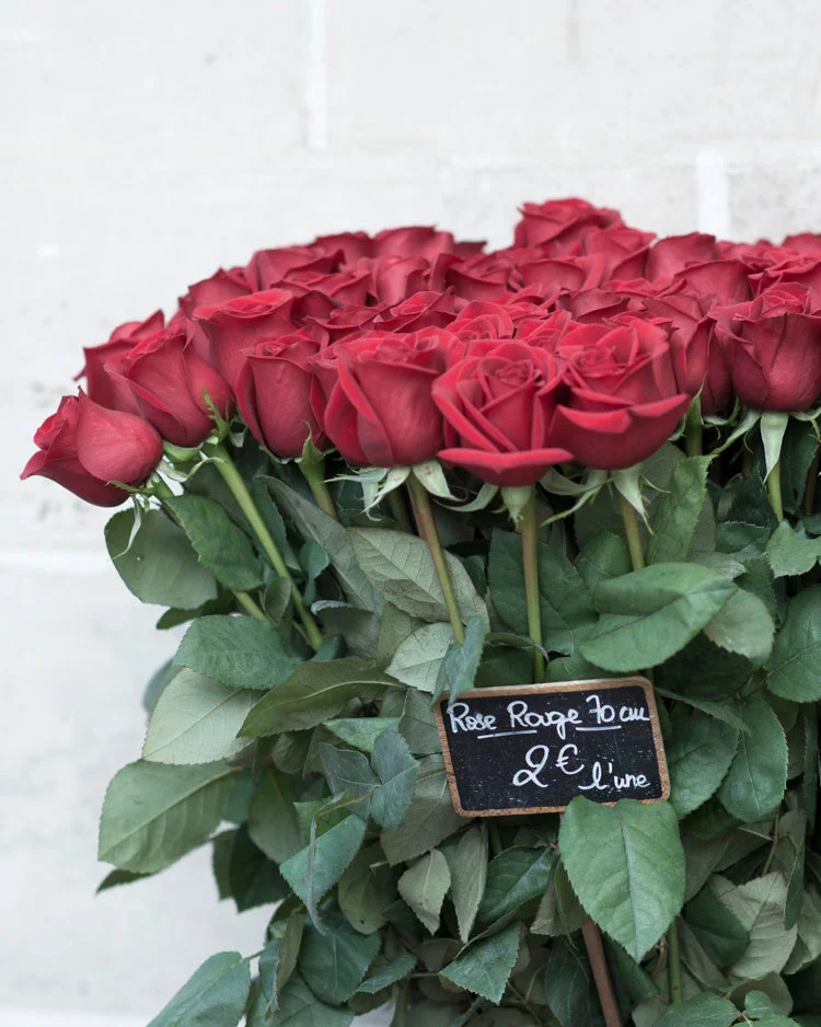 Paris pictures, red roses (vertical), fine art photography print