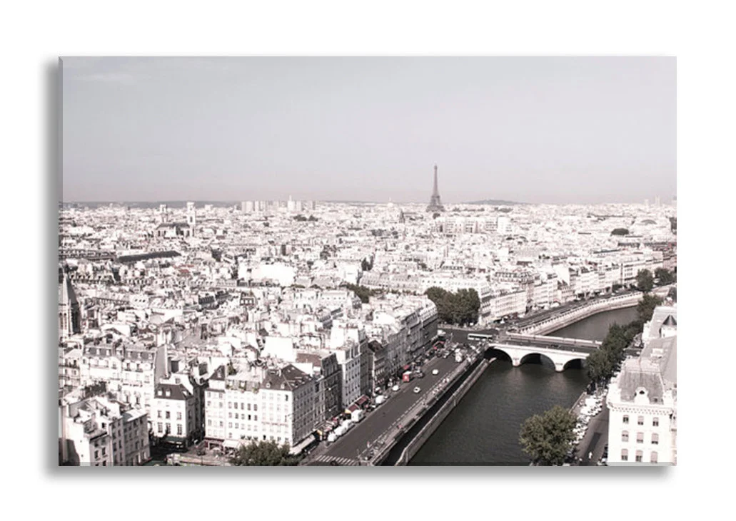 Paris canvas wall art, Seine and Eiffel Tower from Notre Dame, black and white print