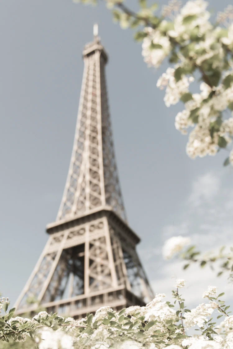 Paris pictures, white blossoms at the Eiffel Tower, fine art photography print