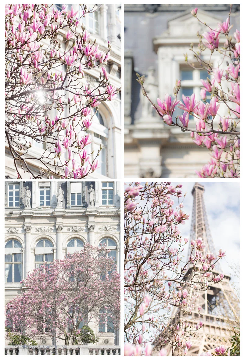 Paris pictures, Paris in Spring fine art photography set of 4 prints