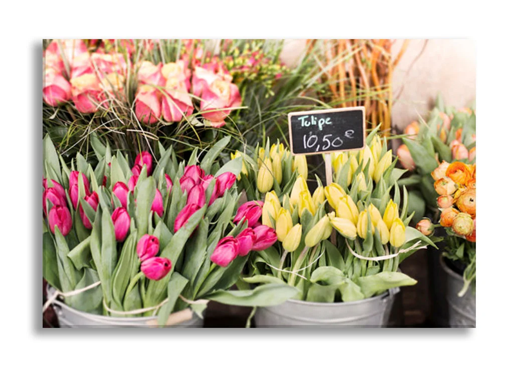 Paris gallery wall art, spring tulips and roses