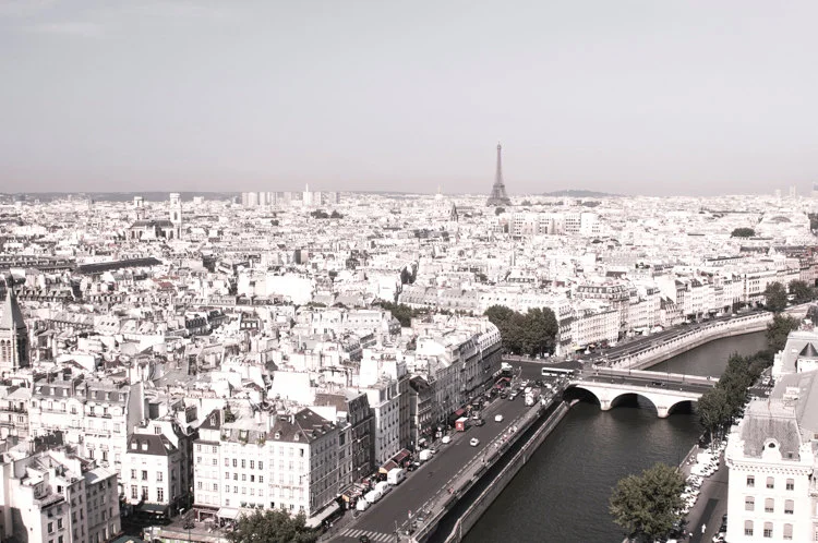 Paris pictures, view from Notre Dame tower, including the Eiffel Tower