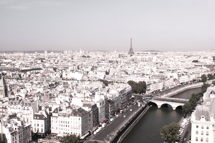 Paris pictures, Seine and Eiffel Tower from Notre Dame, black and white fine art photography print