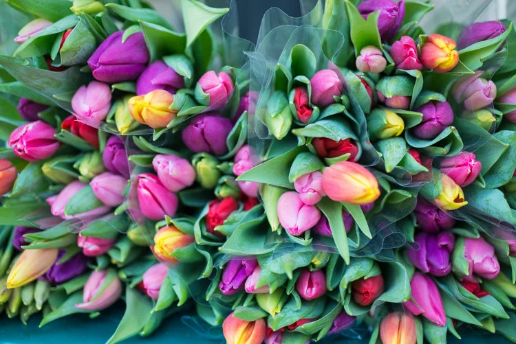 Paris pictures, tulips stacked in the market, fine art photography print