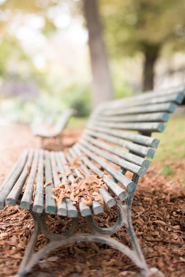 Paris pictures, Autumn in Parc Monceau