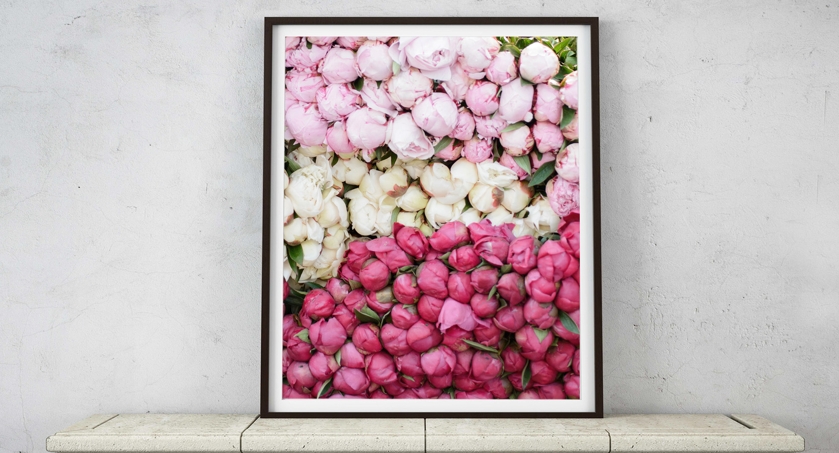 Tricolor Peonies in Paris Market Wall Art