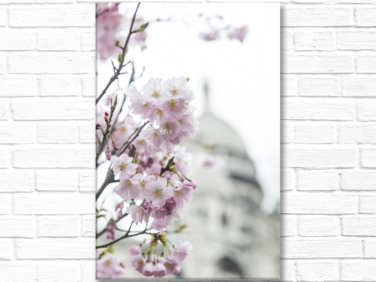 Paris France Home Decor Canvas Wall Art, Pink Blossoms Sacre Coeur