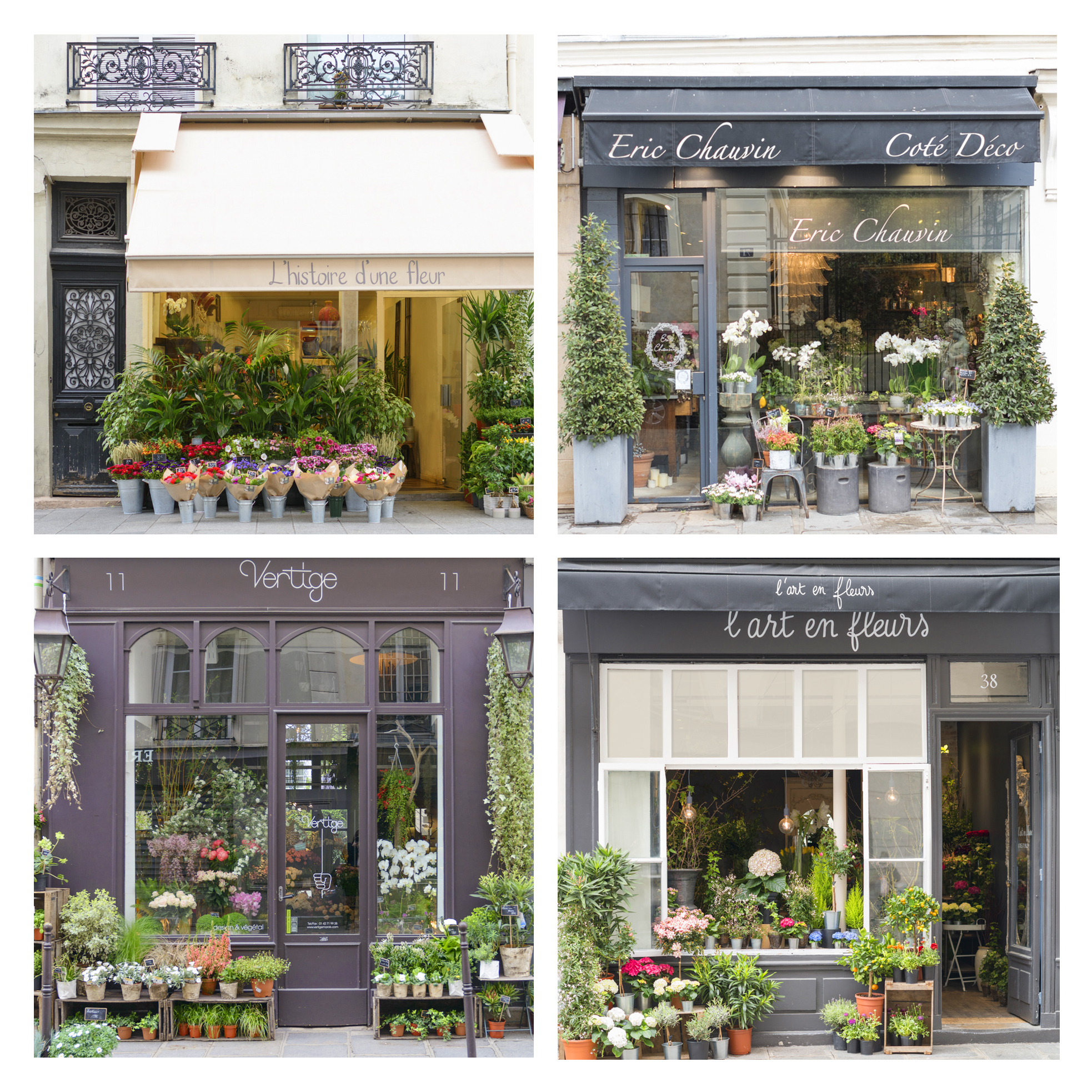 Floral Boutique set.jpg