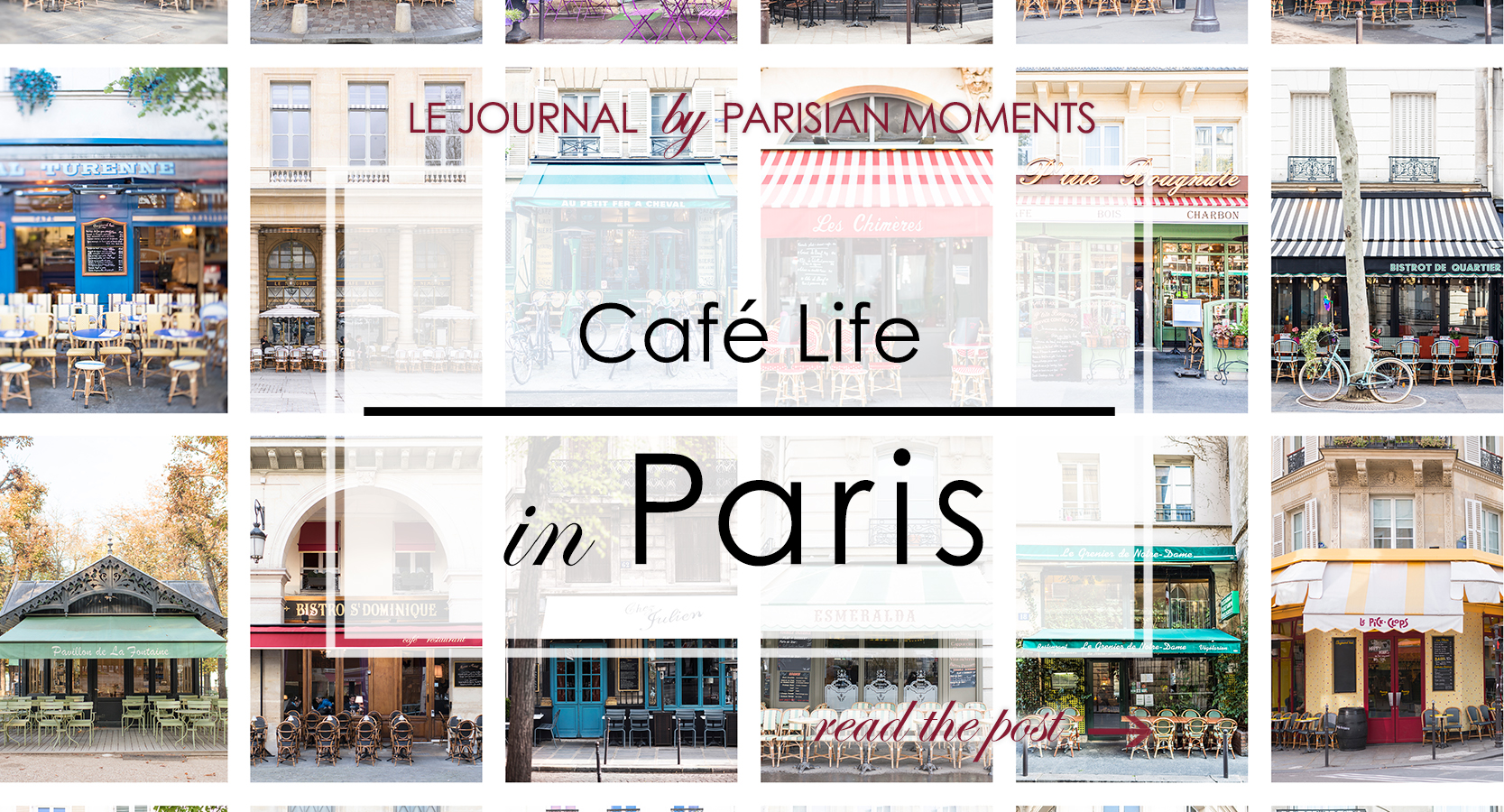 Cafe Life in Paris