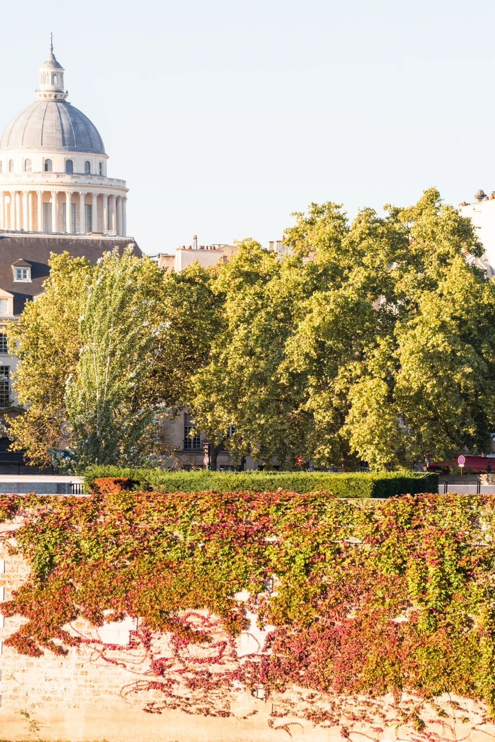 The banks of the Seine are covered in ivy in some places and this turns beautiful colors in the autumn. This is a view of Île de la Cité from Île Saint-Louis.