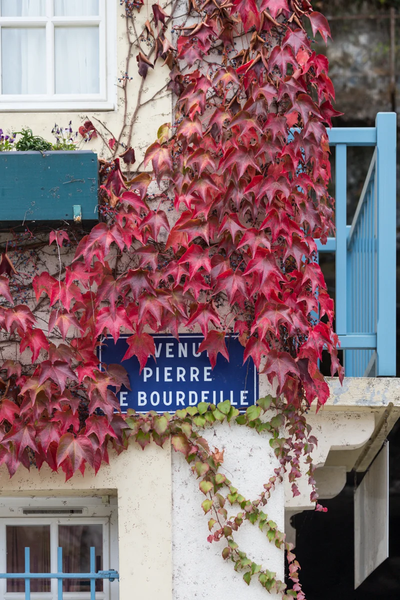 dcp-201510055779.jpg