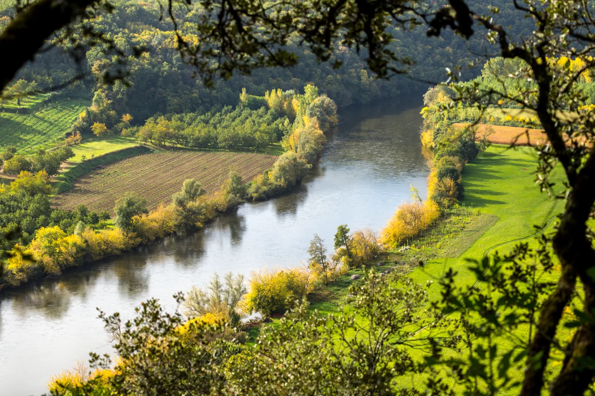 dcp-201510076757.jpg