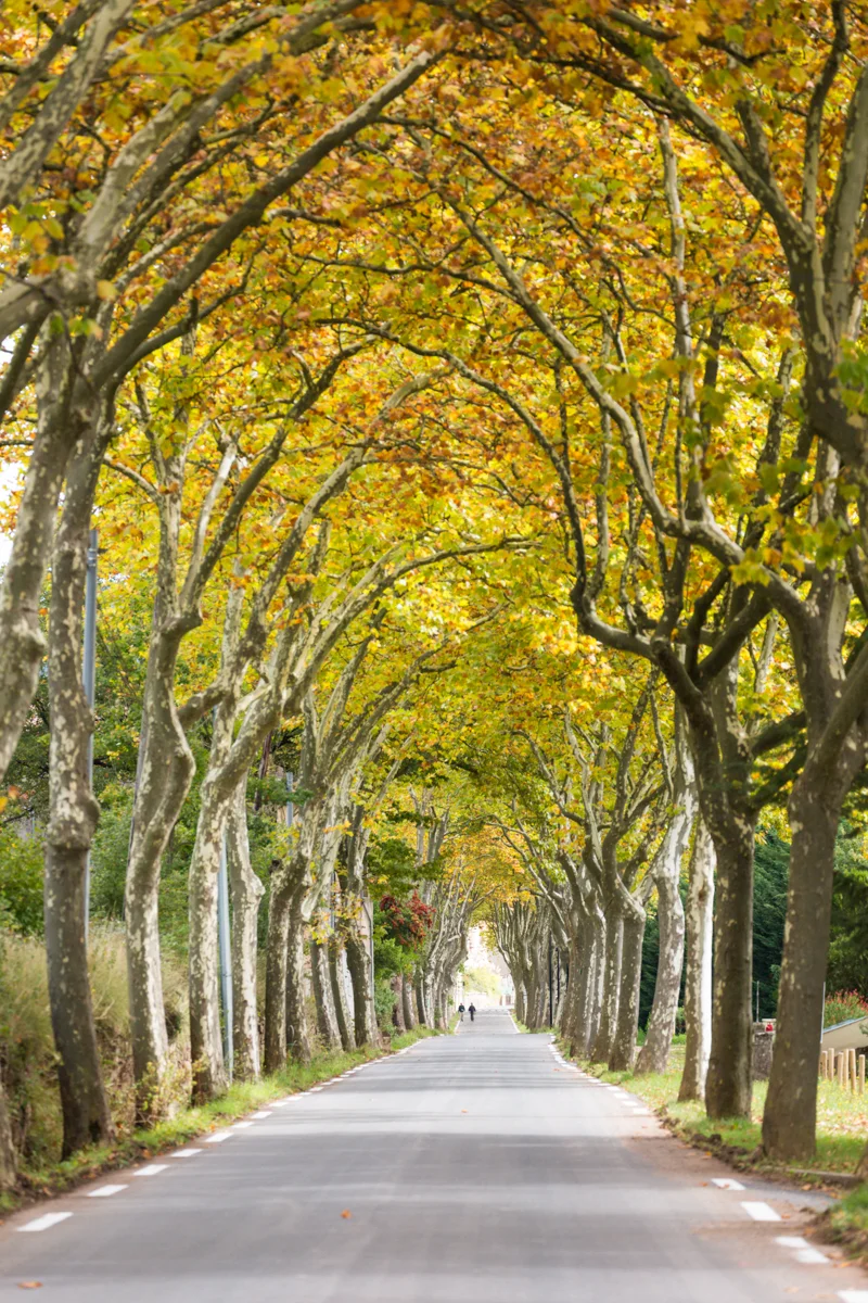 Aveyron