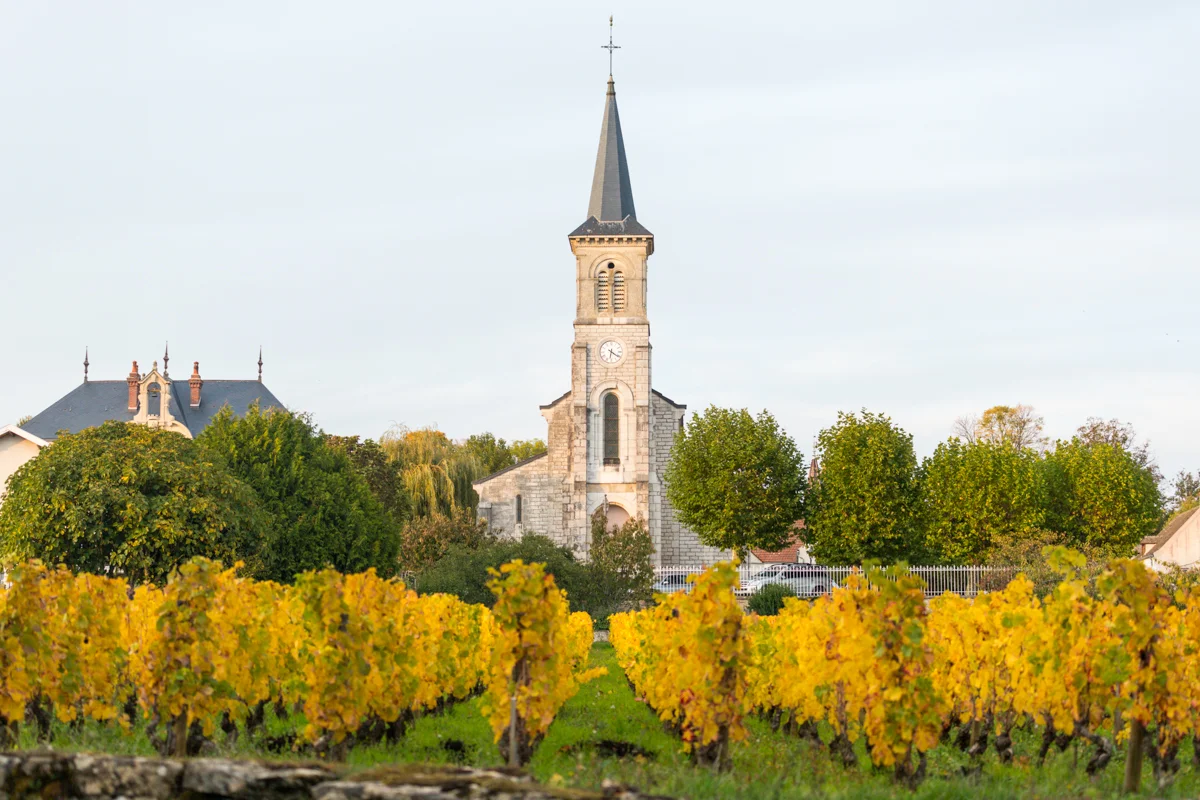 dcp-201510118619.jpg