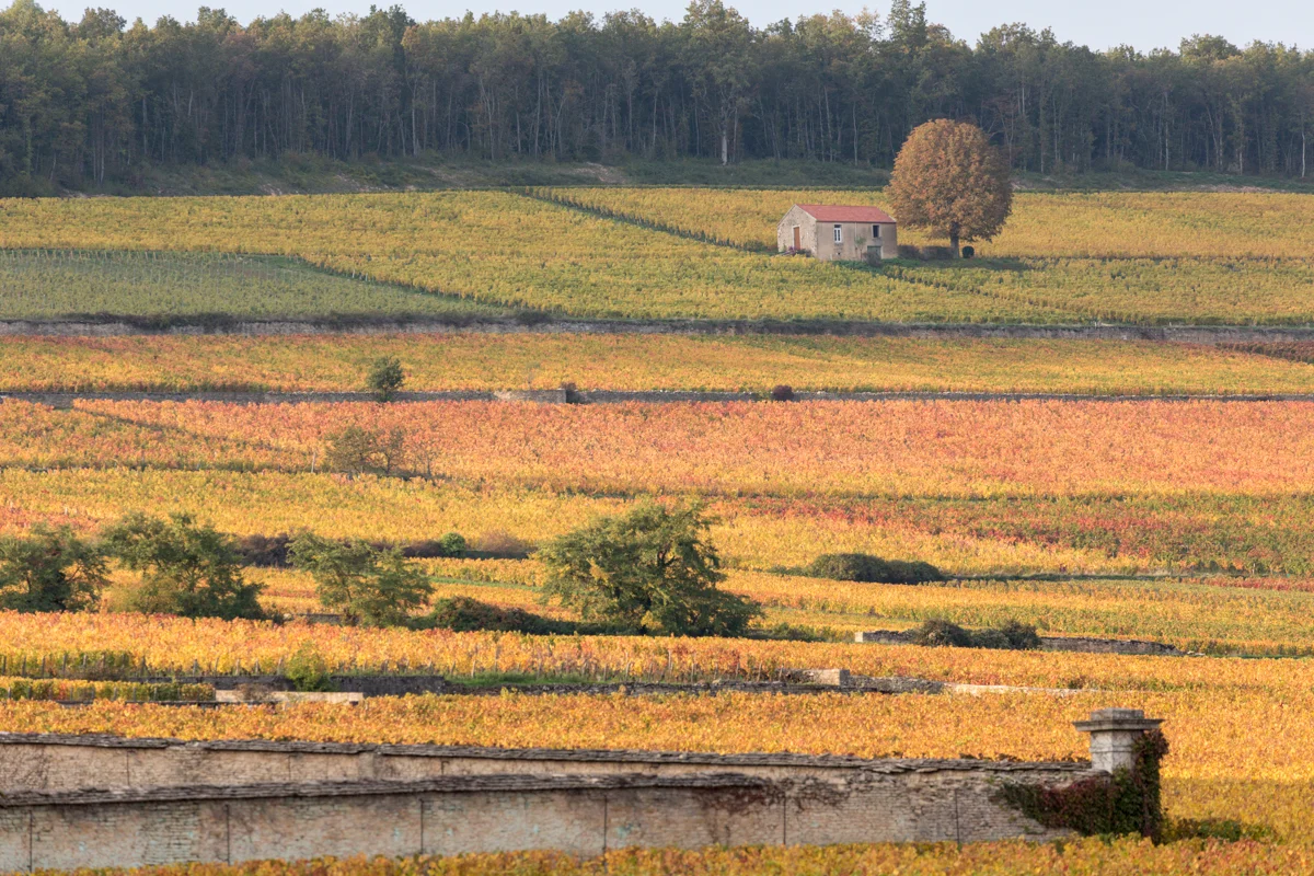 dcp-201510118580.jpg