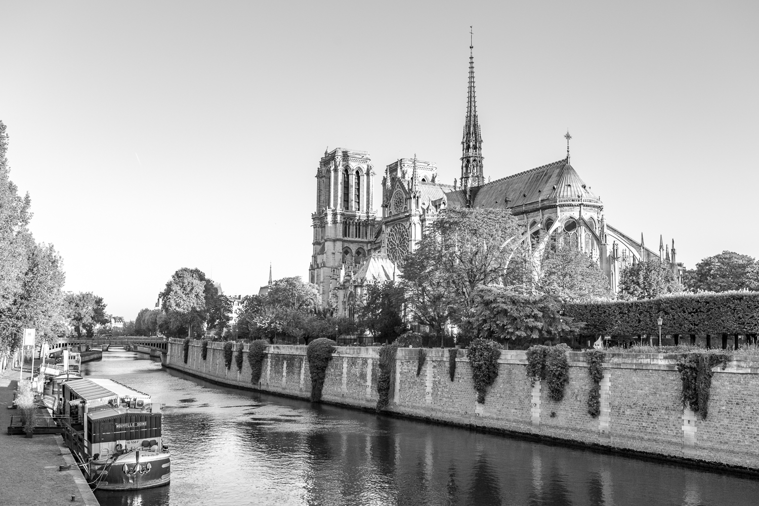 Copy of Notre-Dame cathedral and the Seine
