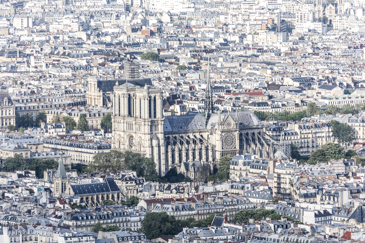 Copy of Notre-Dame at the Heart of Paris