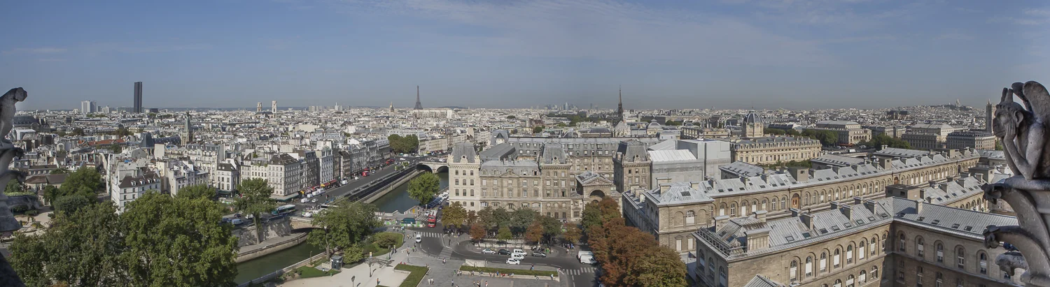 dcp20110801-13928.jpg