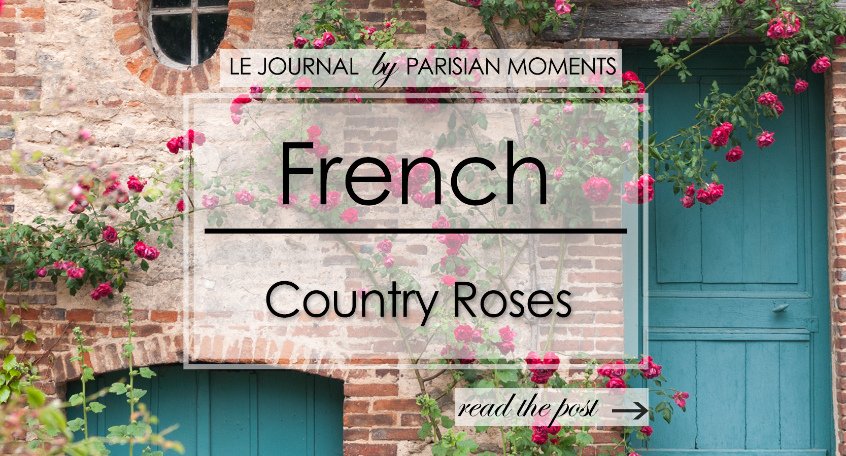 FrenchCountryRoses.jpg