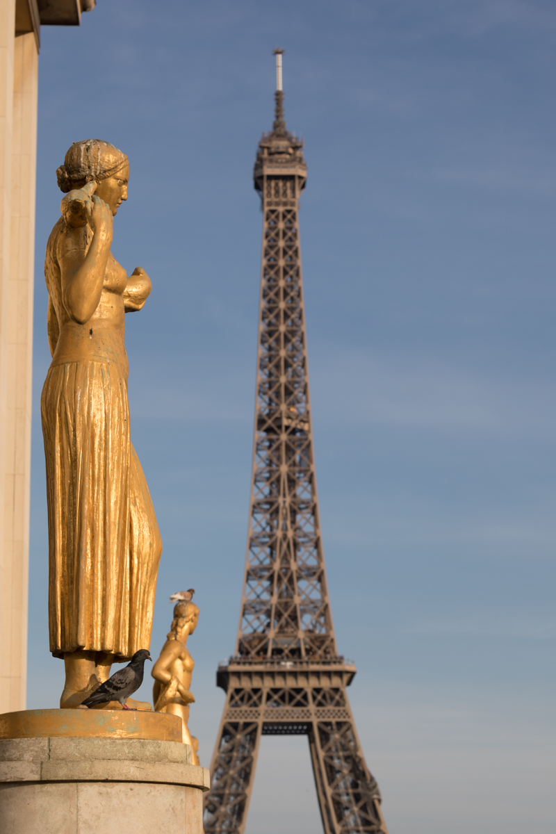 Eiffel Tower from Trocadero