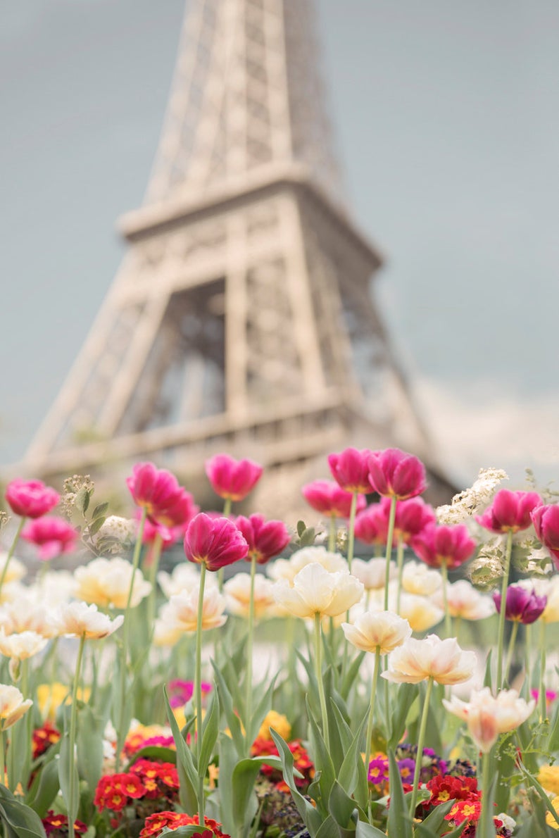 Copy of Copy of Tulips at the Eiffel Tower