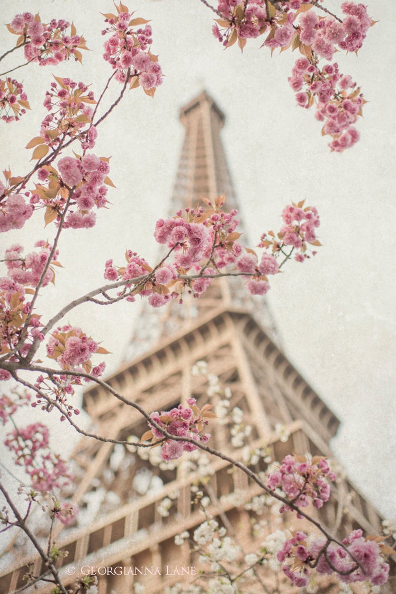 Copy of Copy of Eiffel Tower with Cherry Blossoms