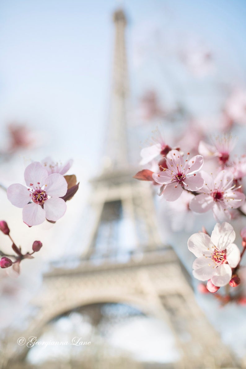 Copy of Copy of Eiffel Tower with Plum Blossoms