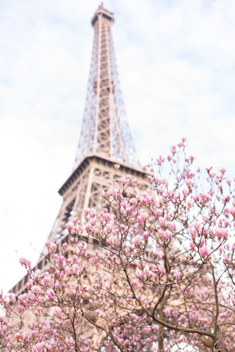Copy of Copy of Magnolias at the Eiffel Tower