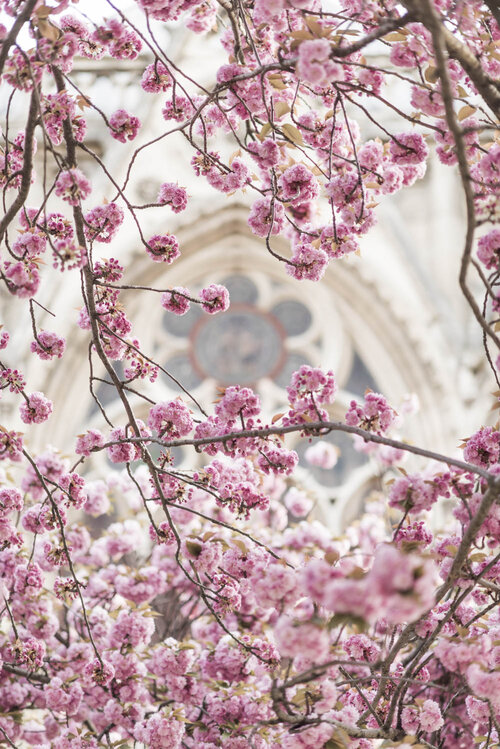 Beauty Blossoms Anew on Paris' Champs-Élysées – WWD