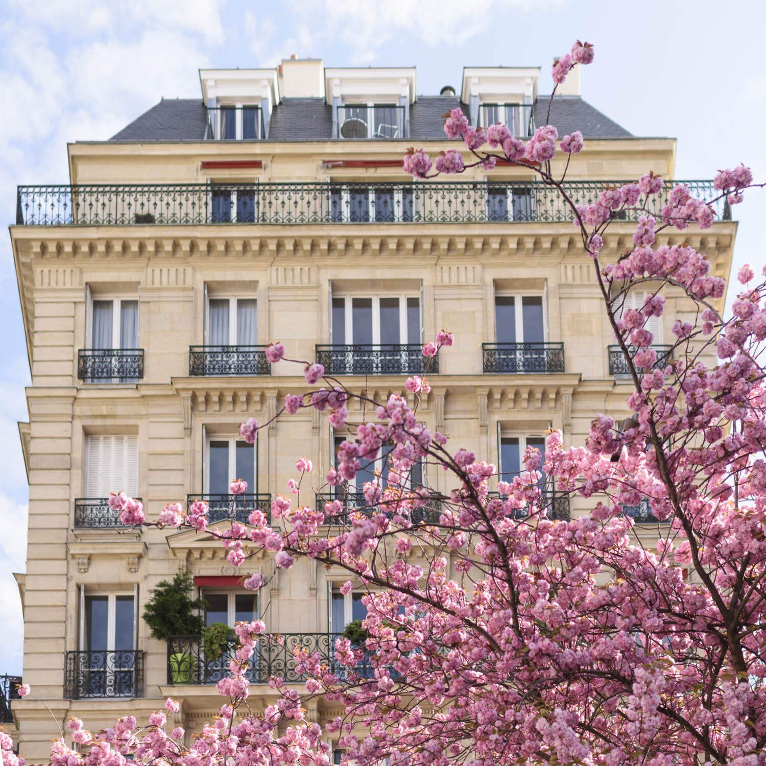 Rue Falguière