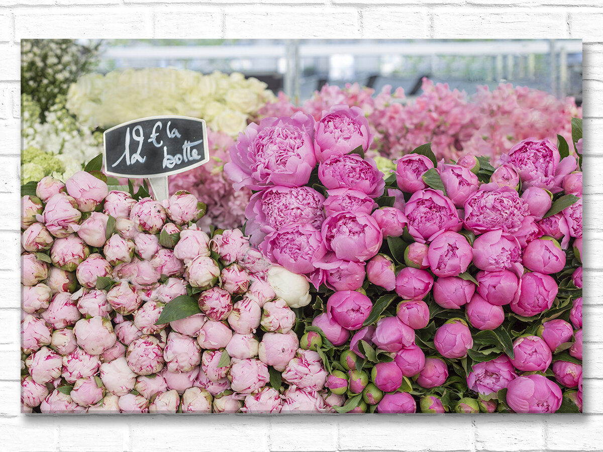 Light and Dark Pink Peonies, Paris