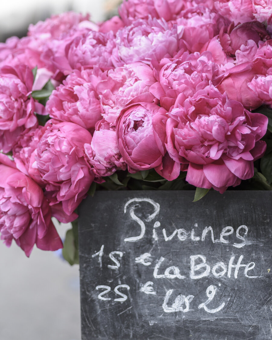 Pink Peonies in Paris Market