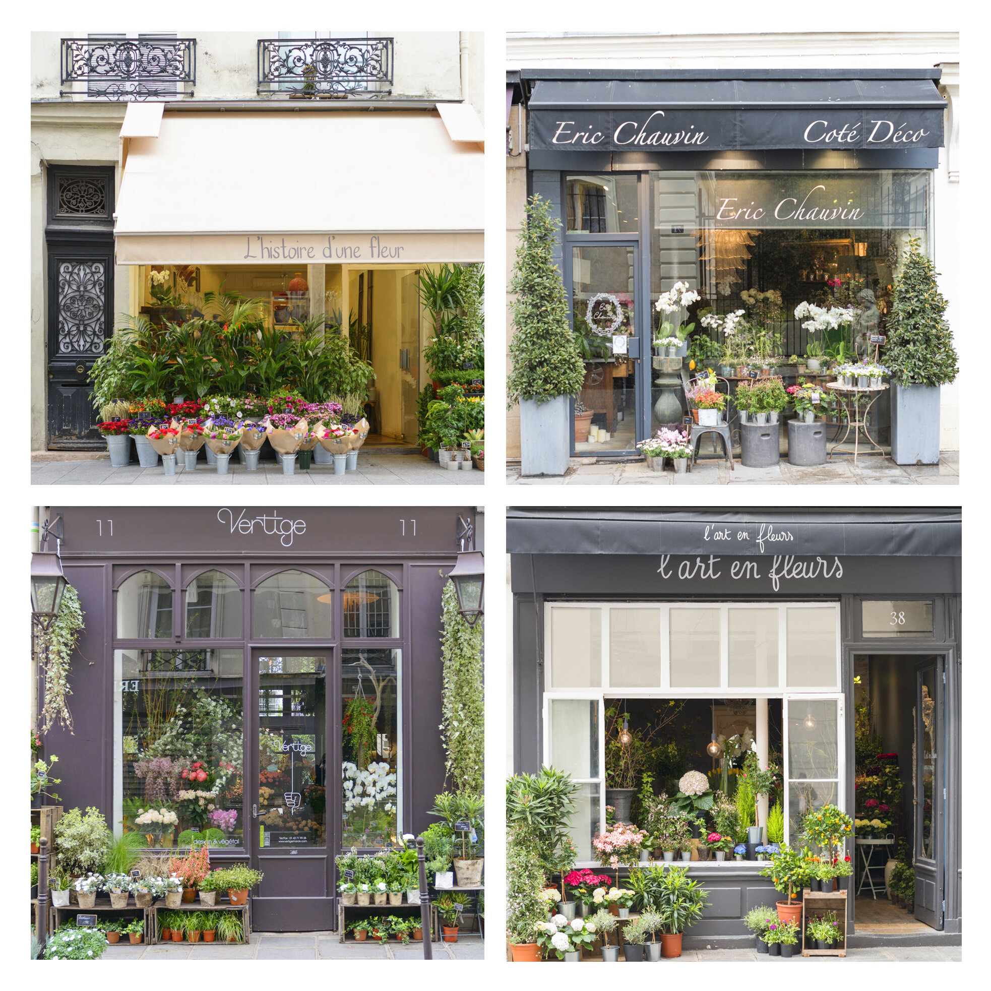 Paris Floral Boutique Collection
