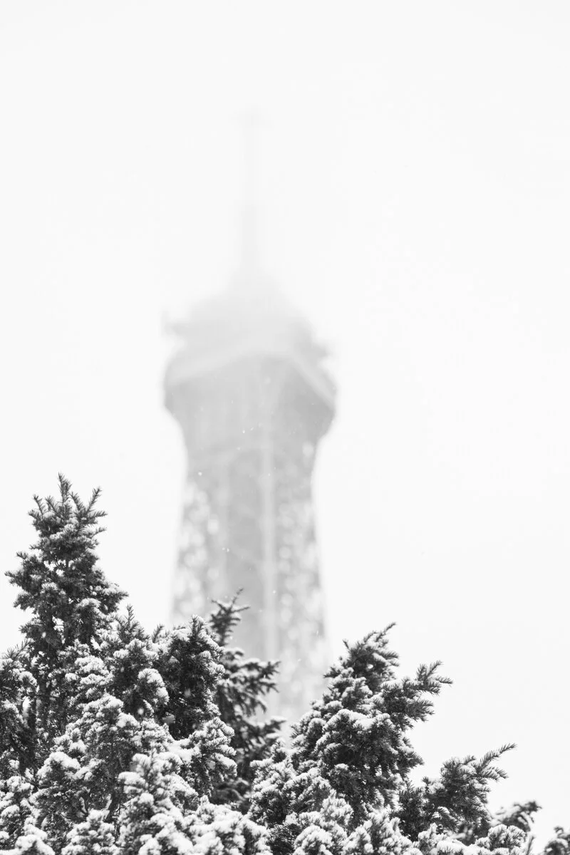 EiffelTowerPineSnowBnW.jpg