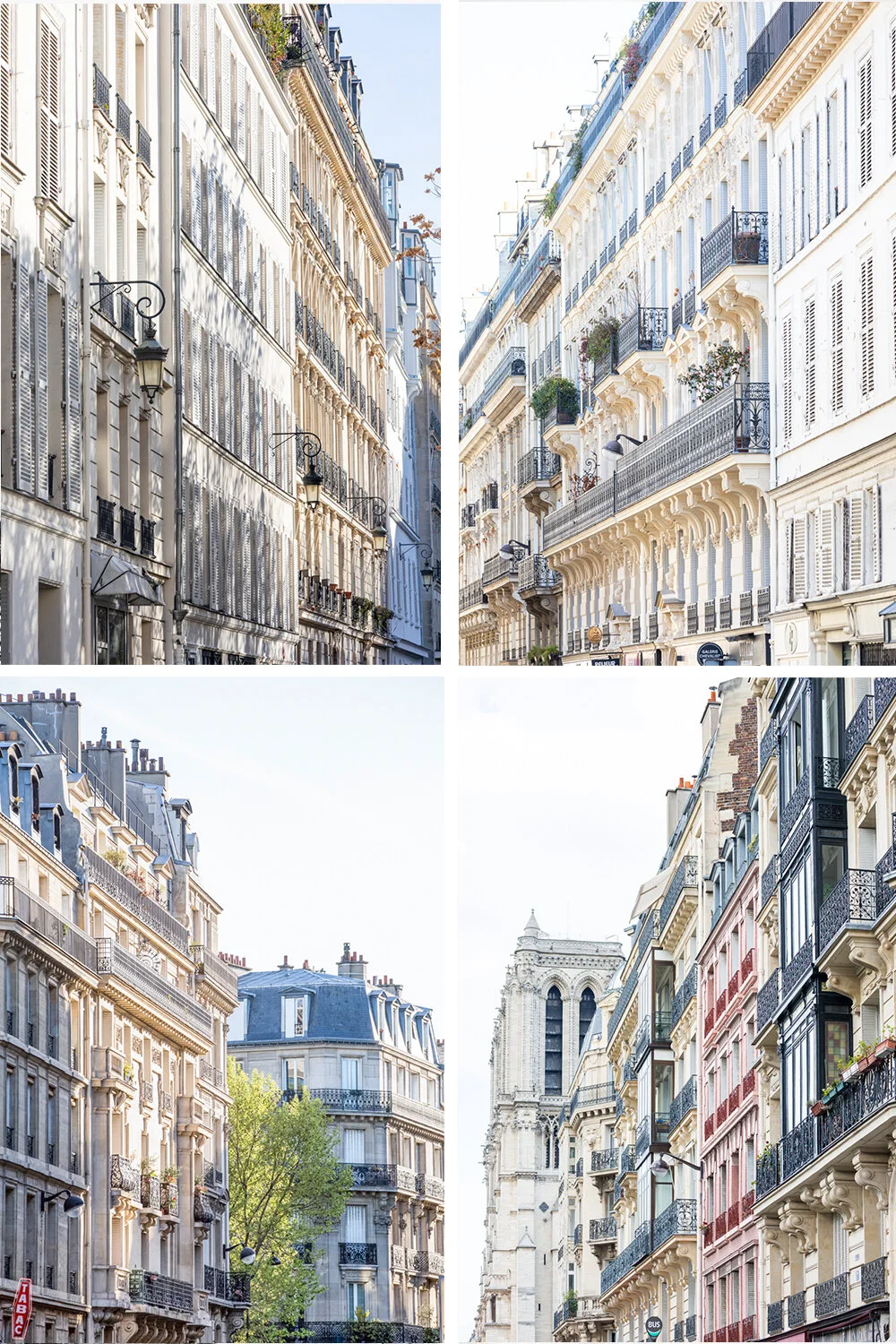 ParisArchitecture Vertical Collection .jpg