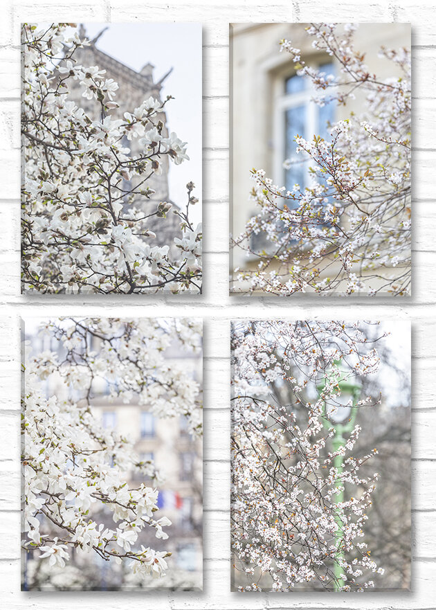 ParisWhiteSpringCanvasCollection.jpg