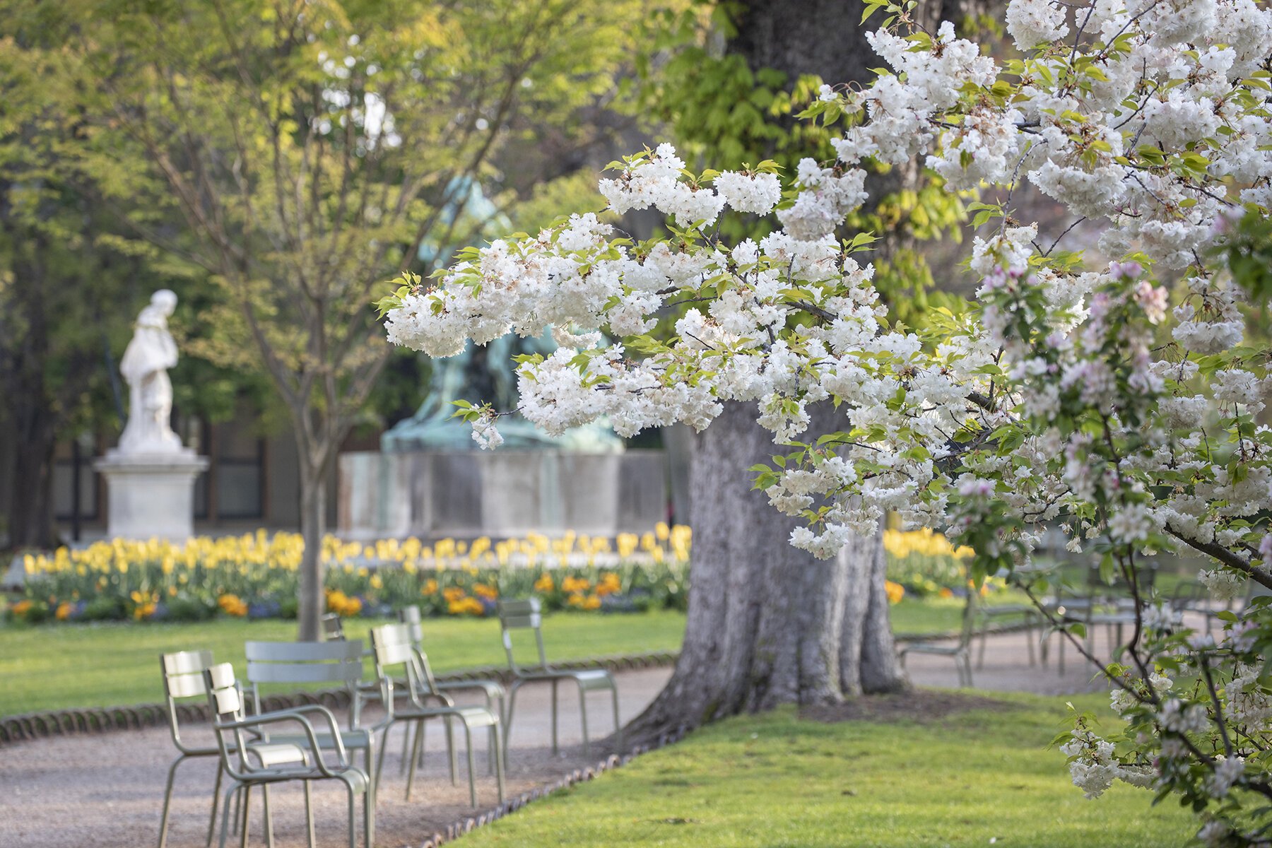 Luxembourg Gardens in Spring