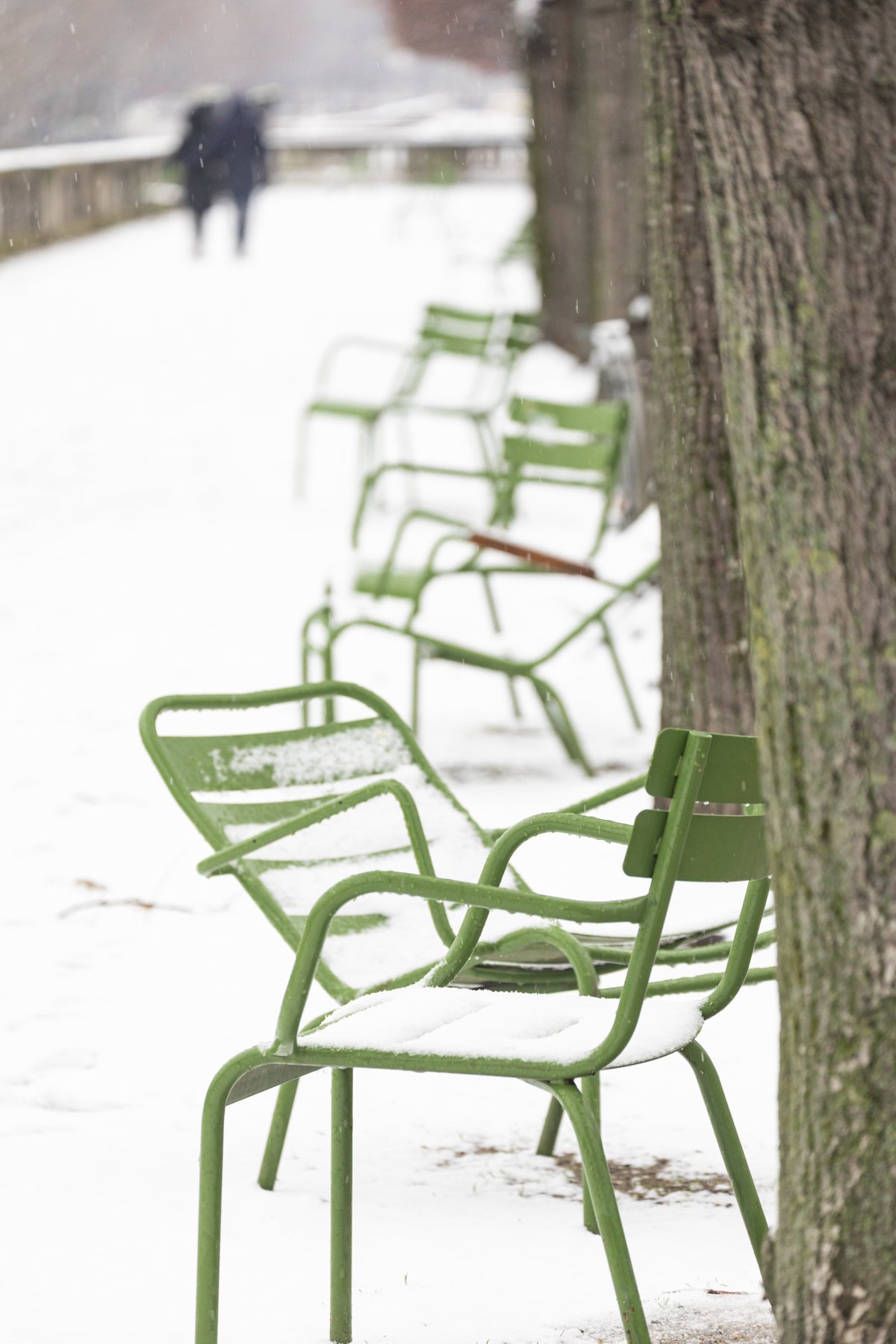 Green chairs in the snow, Tuileries