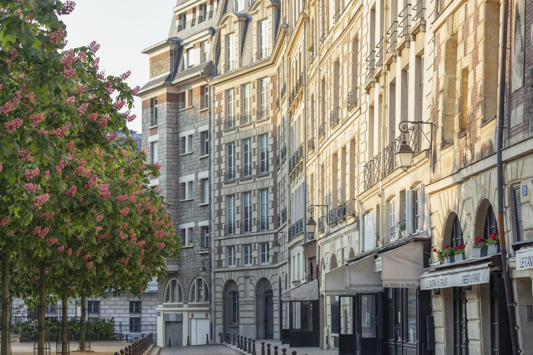 Morning in Place Dauphine