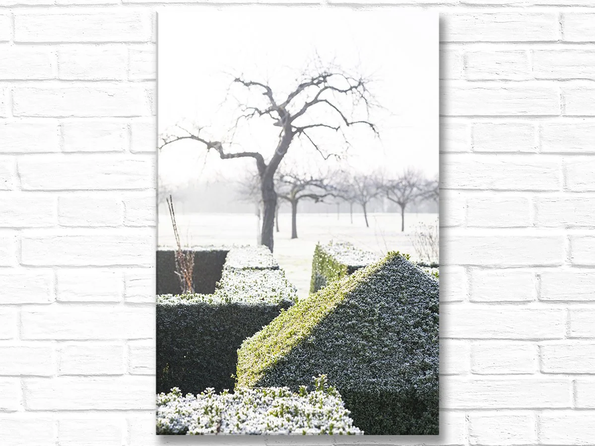 JardinPlumeWinterHedgetTreesVertCanvas.jpg