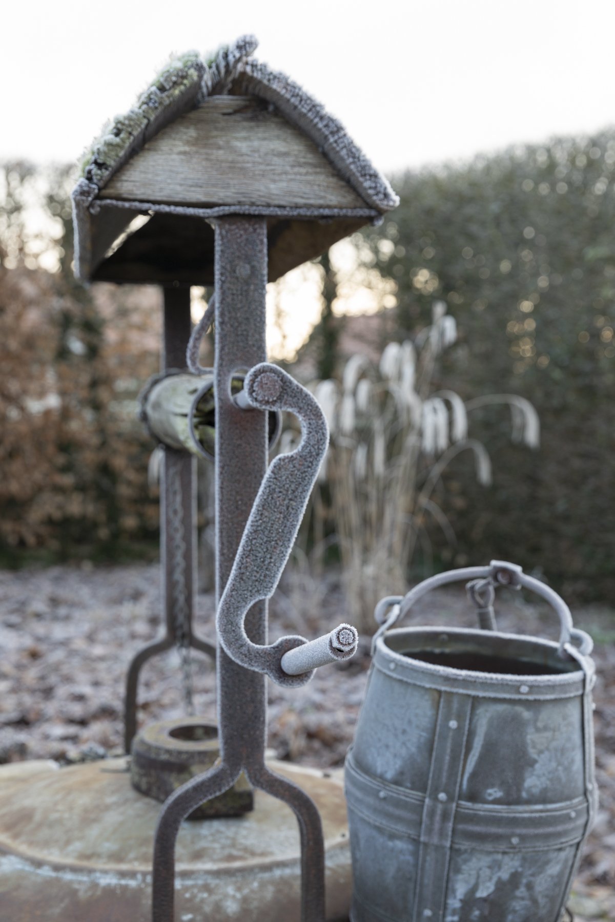 Jardin Plume Frosty Well