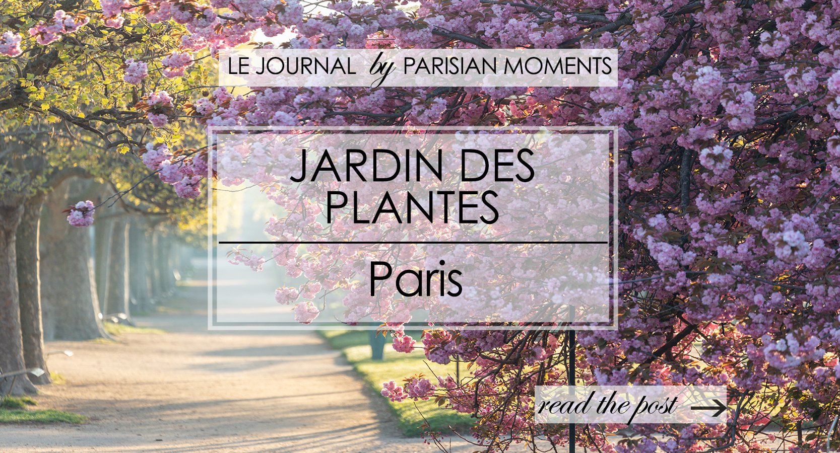 Jardin des plantes Journal post