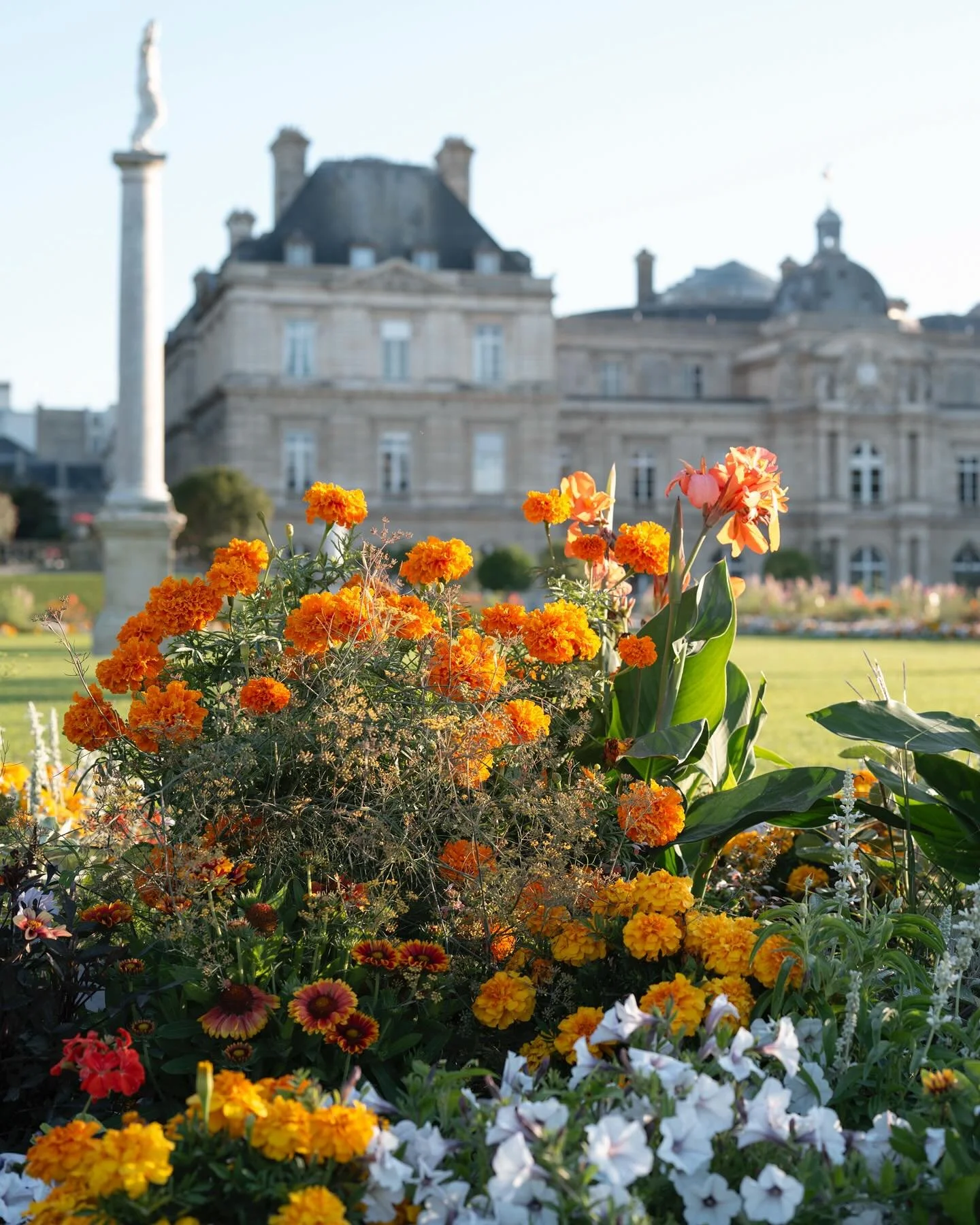 Luxembourg Gardens early this morning. Such a wonderful park and especially when it&rsquo;s uncrowded in the early morning. Hats off to the legion of gardeners who keep it looking so loved and beautiful.