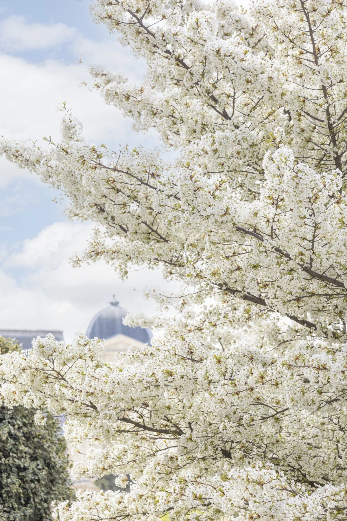 dcp-20210403103090-Edit-Edit.jpg