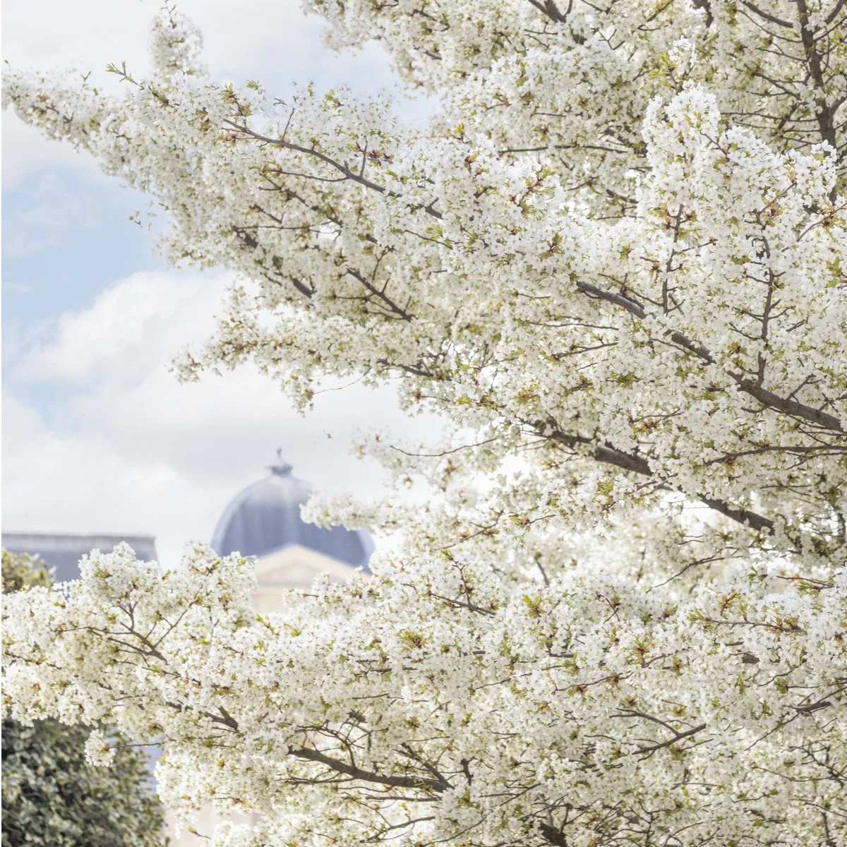 dcp-20210403103090-Edit-Square.jpg