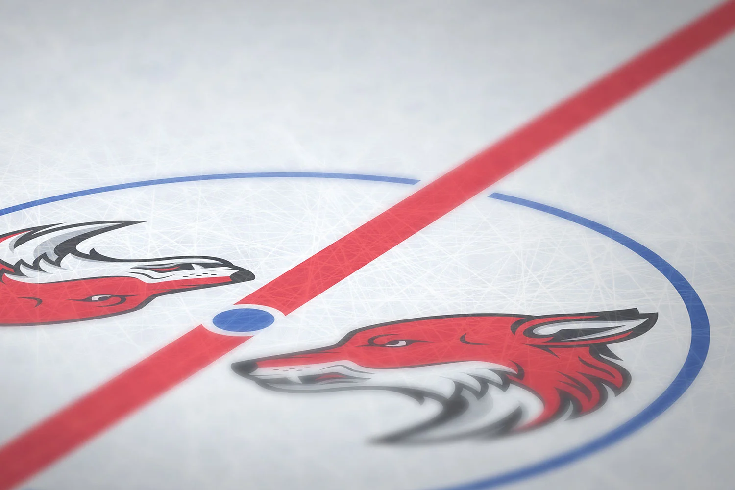 HCB_Foxes_Centre-Ice.jpg