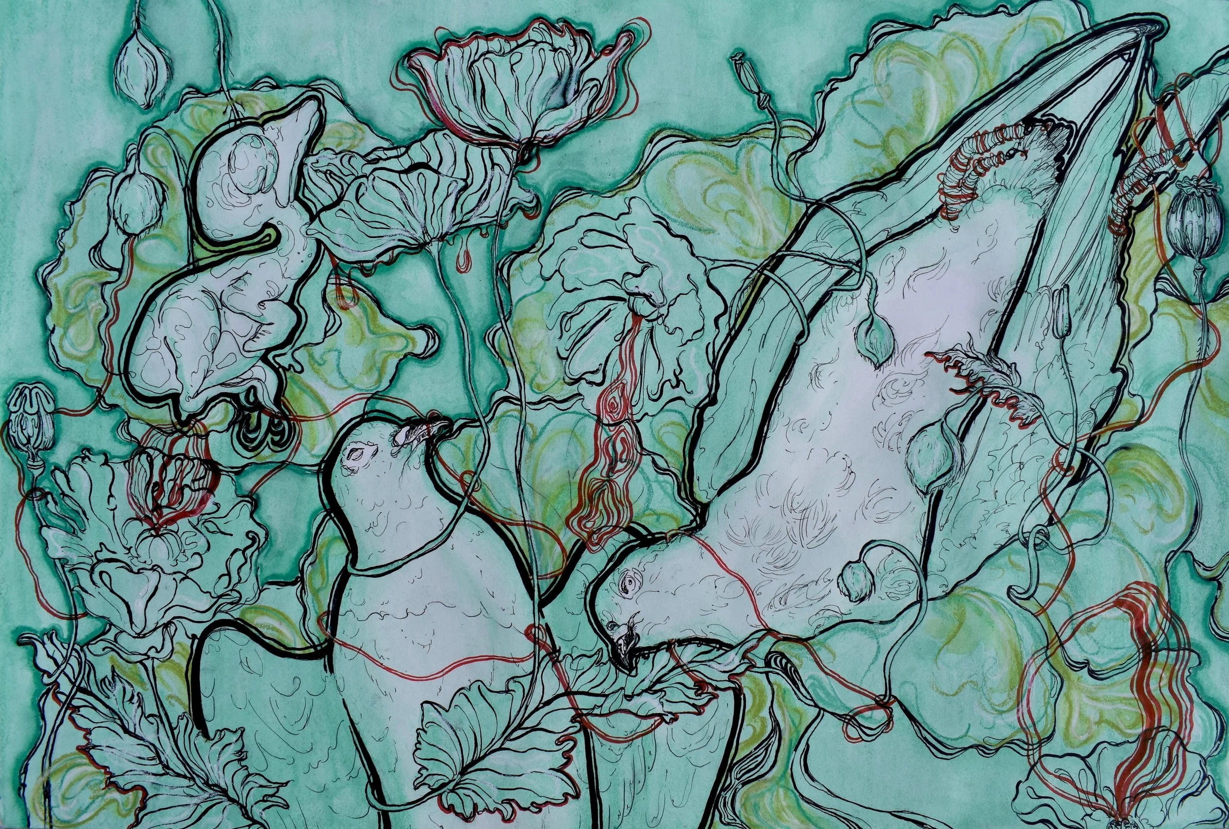 Pigeons & Poppies