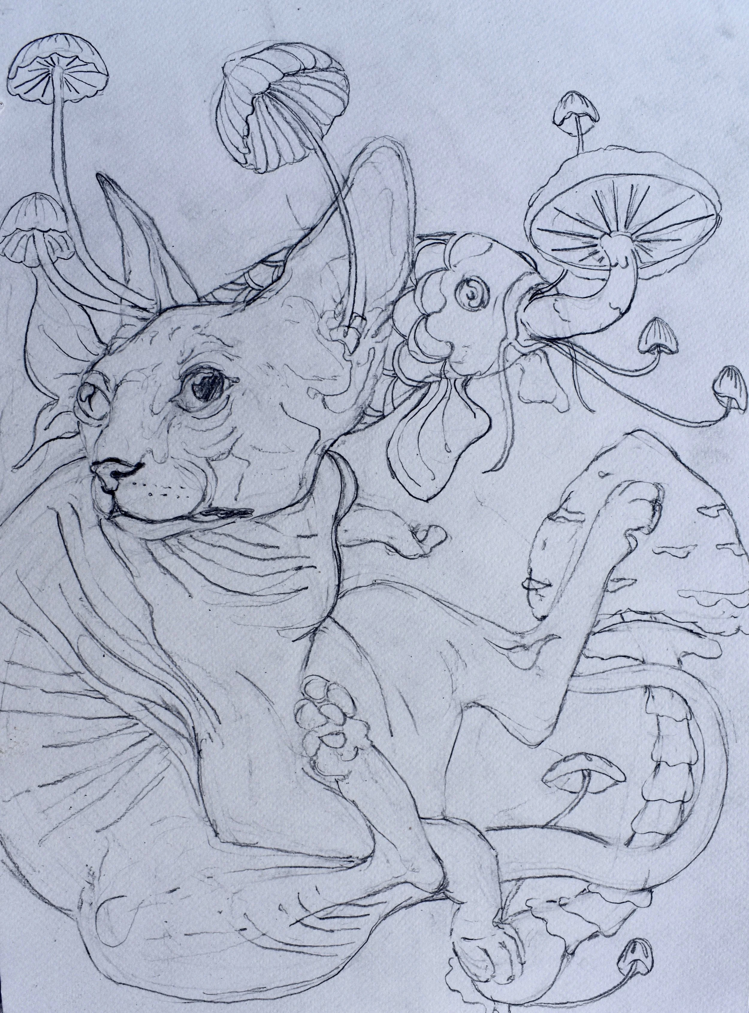 Silkscreen Sketch