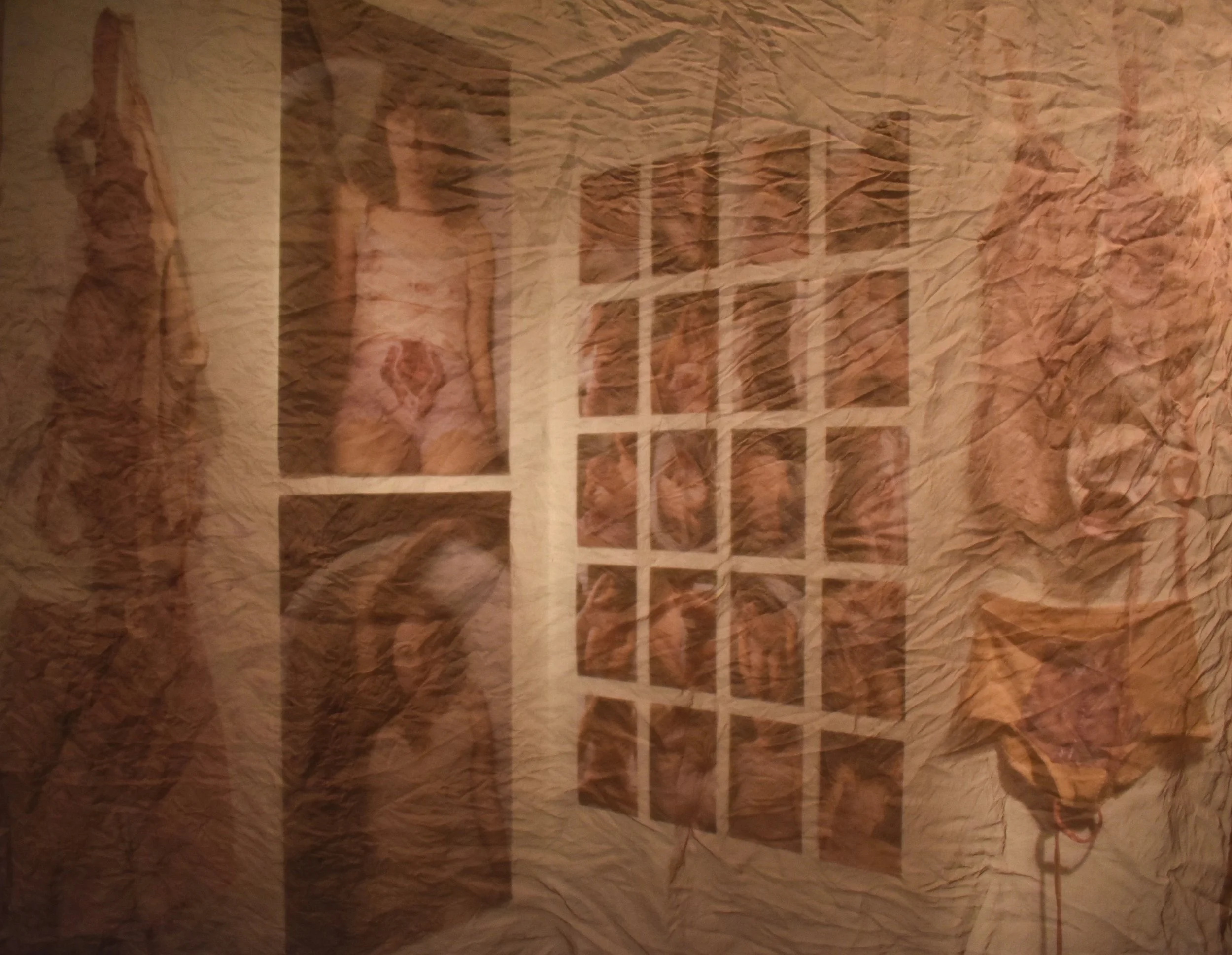 Intimates Installation (detail)