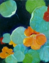 Nasturtium -- in Full Bloom